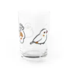 ほほらら工房 SUZURI支店のじゅうしまつ見取り図 Water Glass :front