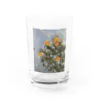 tsuki562のおはなシリーズ Water Glass :front