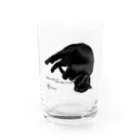 ＊With midori【コラボ雑貨メイン】のYou have to worship a cat. Water Glass :front