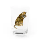 LalaHangeulの虎の子 グラス前面