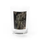 空屋　sorayakusakaの202001121944000　夜の樹木 Water Glass :front