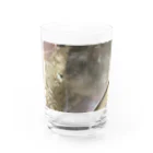 翡翠葛のわらび Water Glass :front