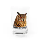 有限会社サイエンスファクトリーのBIRDS OF PREY ベンガルワシミミズク Water Glass :front