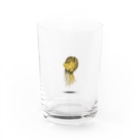 樹源 ‐ KiGen ‐のTiger Nautilus 2022. Water Glass :front