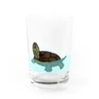 ひかるのクサガメのグラス グラス前面