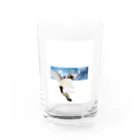 momo_emiの2022 猫 Water Glass :front