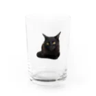 chill_laundryのクゥちゃん 宣材写真風 Water Glass :front