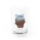 この世のうさ屋のうさ(solid)2 Water Glass :front