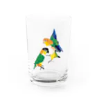 piyopiyobrandのシロハラインコたち Water Glass :front