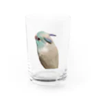 マメルリハグッズショップのマメルリハのゆき Water Glass :front