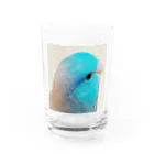 マメルリハグッズショップのマメルリハのまめた Water Glass :front