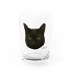 猫カフェ ぶぅたんグッズショップの絵文字ララくん グラス前面