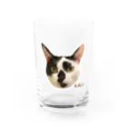 猫カフェ ぶぅたんグッズショップの絵文字カルくん Water Glass :front