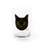 猫カフェ ぶぅたんグッズショップの絵文字ククちゃん グラス前面