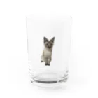 tomokko_riのおすわりこむぎ Water Glass :front