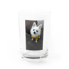 𝓣𝓪𝓴𝓾3000のレオくんシリーズ2 Water Glass :front