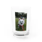 𝓣𝓪𝓴𝓾3000のレオくんシリーズ3 Water Glass :front