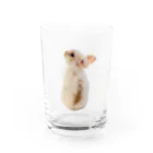 【うさぎ】いのかむきぃたんグッズの【うさぎ】ベビかむくんグッズ Water Glass :front