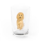 hawkのstandard poodle 『ily』 Water Glass :front