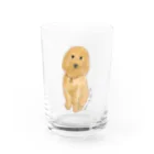 hawkのstandard poodle 『ily』 Water Glass :front