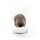 政宗商店の政宗-ごめん寝- Water Glass :front