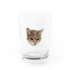 卵かけご飯のうちのこ Water Glass :front