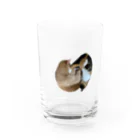 MASHのおかちまるグラス Water Glass :front