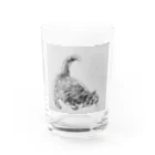 自惚れ屋の腰を上げる猫ちゃん Water Glass :front