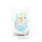 まめるりはことりの可愛いのぞき見セキセイインコちゃん【まめるりはことり】 Water Glass :front