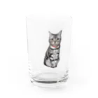 トォーラ🐈の猫のトォーラ Water Glass :front