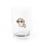 Piggeh & Mashuのマシュウ - Piggeh & Mashu Water Glass :front