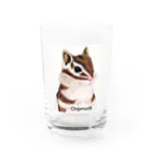 シマリス部　のシマリスさんお手手ギュッ Water Glass :front