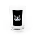 Timmy chan の猫の鳩胸 Water Glass :front