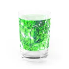 fée de la roseのVert frais Water Glass :front