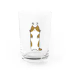 電球屋のもふ　ながいねこさん Water Glass :front