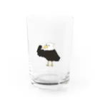 たまのムキムキハクトウワシ Water Glass :front