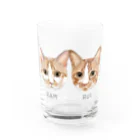 みきぞーん｜保護猫 ミッキー画伯と肉球とおともだちのram&rui Water Glass :front