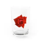 Harunoyozoraの大きな赤いバラ Water Glass :front