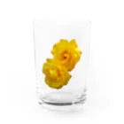 Harunoyozoraの黄色い薔薇の花 Water Glass :front