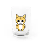 AKI⭐︎CATのアニキの妹猫のチャチャ グラス前面