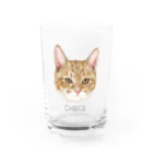 みきぞーん｜保護猫 ミッキー画伯と肉球とおともだちのchoice Water Glass :front