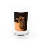 パピコちゃんのお部屋のパピコちゃん Water Glass :front