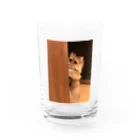 パピコちゃんのお部屋のパピコちゃん Water Glass :front