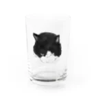 スナック半ばをすぎての睨みネコ' Water Glass :front