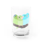 masumi maedaの寄り添う　マメルリハ　 Water Glass :front