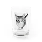 choistyle  handmadeの猫　目線の先に𓃠 Water Glass :front