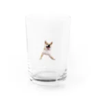 KOTARO_の虎太郎13 Water Glass :front