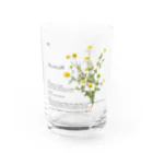 Weの私たちの菜園より カモミール Water Glass :front