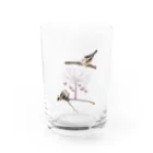 デザイン堂しまえながの恋するシマエナガ(ピンク) Water Glass :front