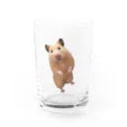 キンクマハムスターふろちゃんショップのキンクマハムスターふろちゃん Water Glass :front